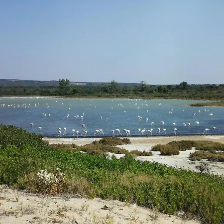 Semesterbostad Capu Cilona Torre Colimena